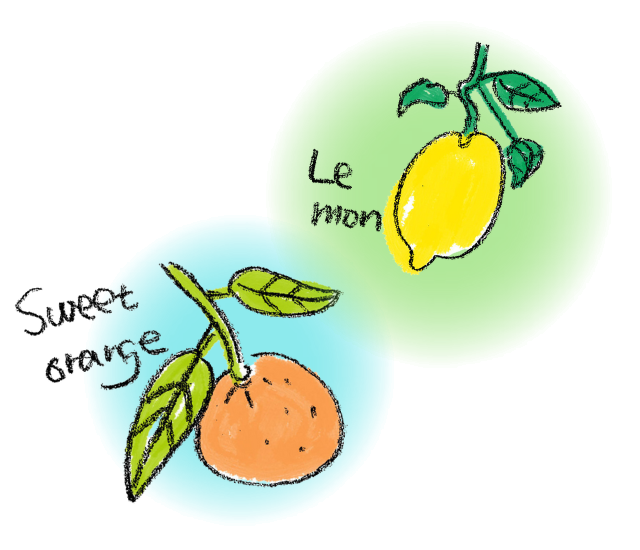 アロマ　オレンジ　レモン